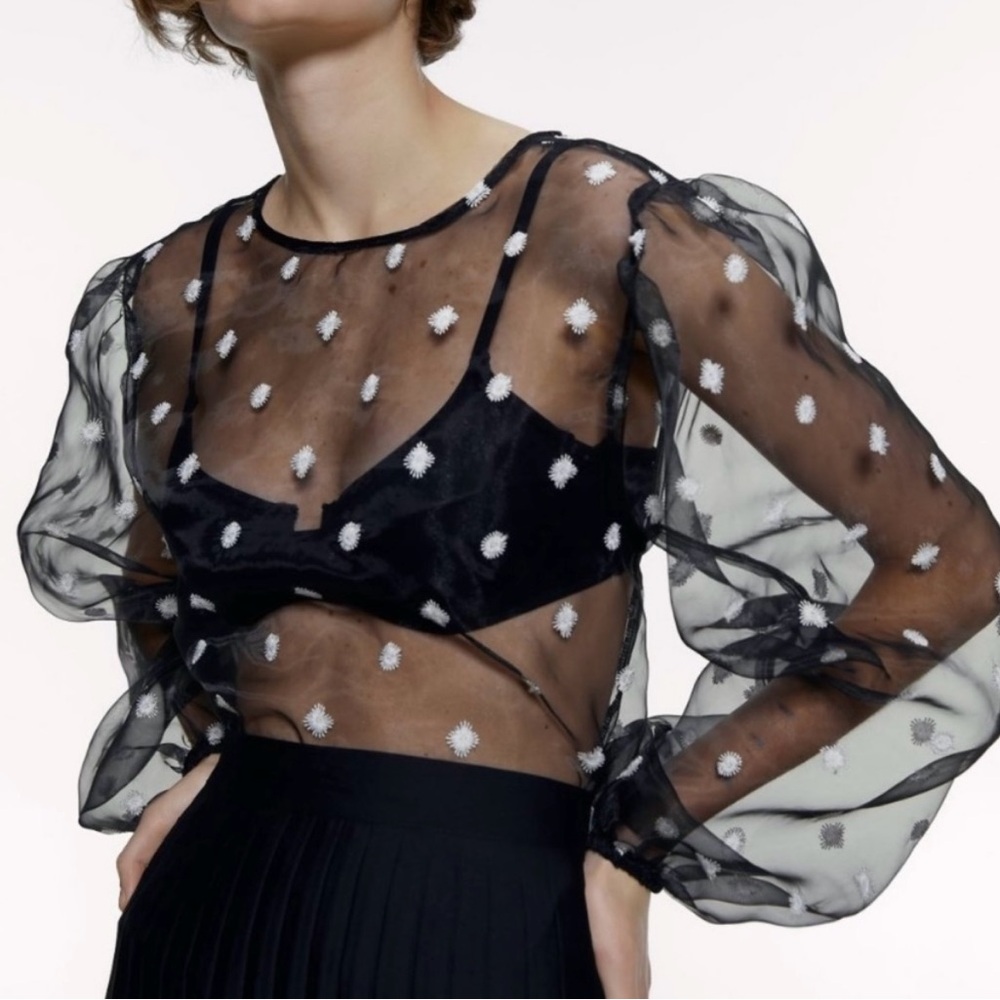 Zara Sheer Black and White embroidered flowers